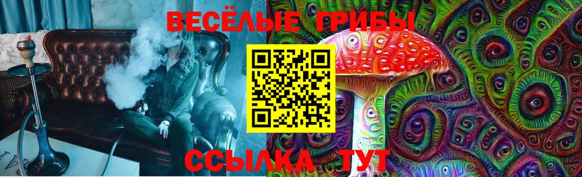 Псилоцибиновые грибы ЛСД  Вход с VPN  Нижний Новгород  хочу   Галлюциногенные грибы мухоморы 